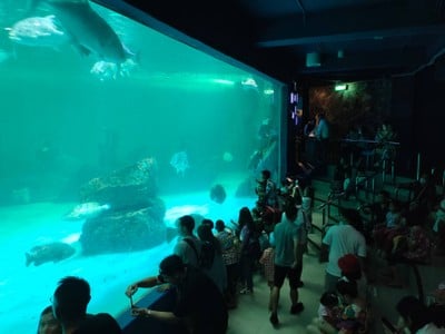 บรรยากาศ