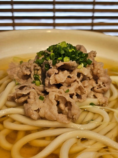 Niku Udon