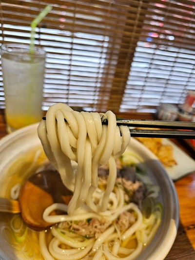 Niku Udon