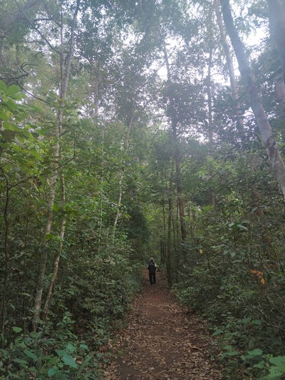 บรรยากาศ