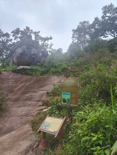 บรรยากาศ