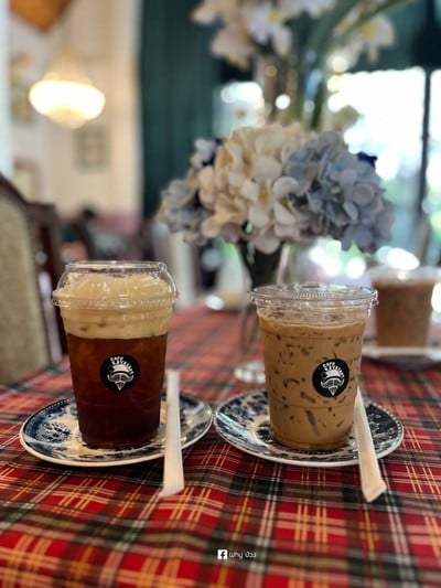 Iced Cold Brew