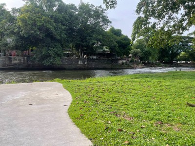 บริเวณโดยรอบ