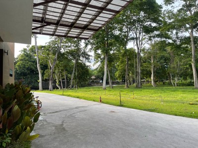 บริเวณโดยรอบ