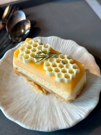 Lemon Cheesecake