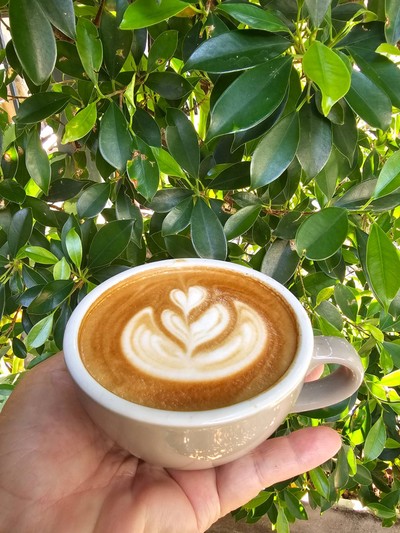 Cappuccino