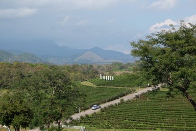 บรรยากาศ