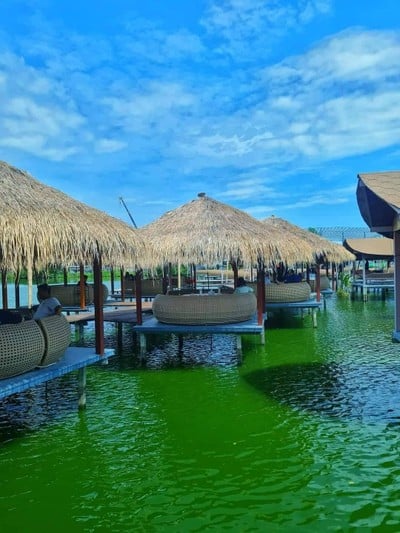 Beachy cafe บีชชี่ซีฟู้ด