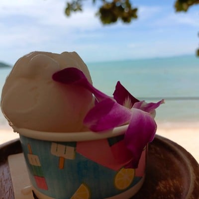 ไอศกรีมกะทิสมุย