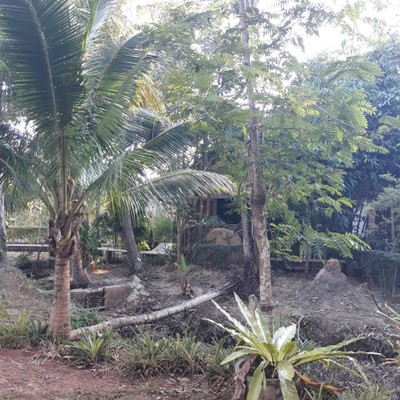 บริเวณโดยรอบ