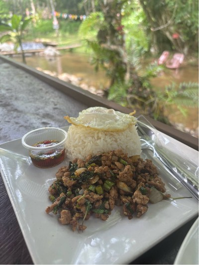 ข้าวกะเพราไข่ดาว