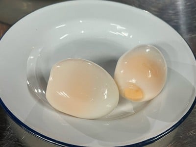 ไข่ต้ม