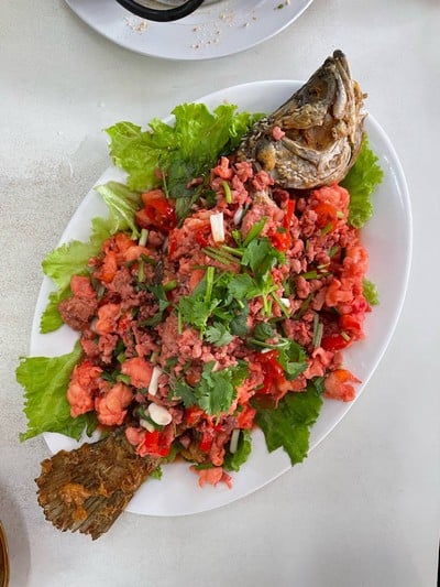 ปลาน้ำแดง