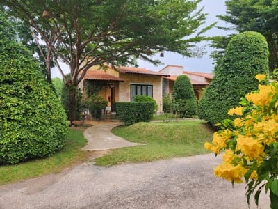 บริเวณโดยรอบ