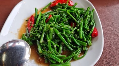 ผัดผักกูด