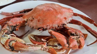 ปูทะเลนึ่ง