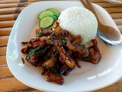 ข้าวราดผัดกะเพราหมูย่าง