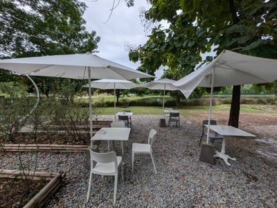 Fernpresso at Lake มหาวิทยาลัยเชียงใหม่