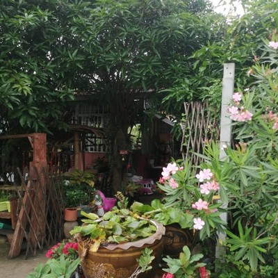 หน้าร้าน