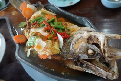 ปลากระพงแป๊ะซะ