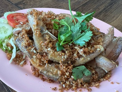 ปลาเนื้ออ่อนทอดกระเทียม