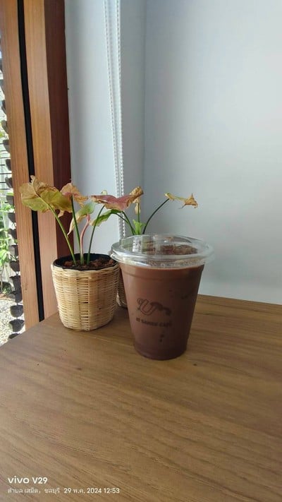 โกโก้เย็น