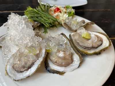 หอยนางรม