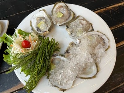 หอยนางรม