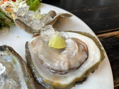 หอยนางรม