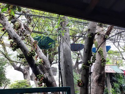 บรรยากาศ