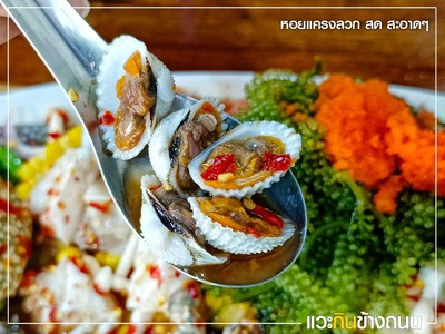 อื่นๆ