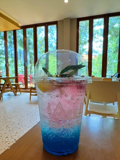 Waikiki kenora soda