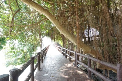 อุทยานแห่งชาติหมู่เกาะเภตรา