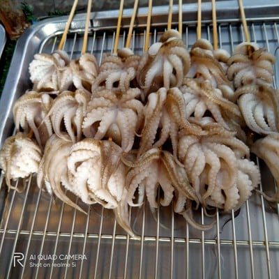 N หมึกย่าง