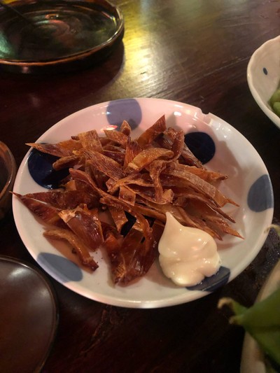 ครีบปลากระเบน