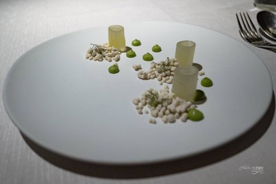 PEPINO ENCURTIDO Y ALIÑO DE HIERBAS PEPINO OSMOTIZADO, CREMA DE OSTRAS, HIERBAS Y NOTAS LÁCTEAS