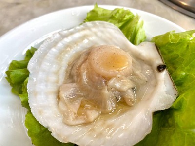 หอยเชลล์