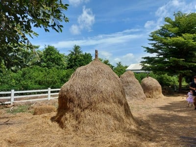 บรรยากาศ