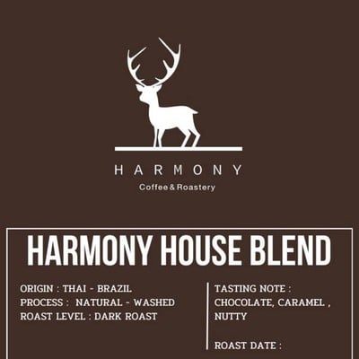 Harmony In Town -