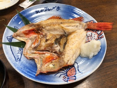 ปลาคิงคิ