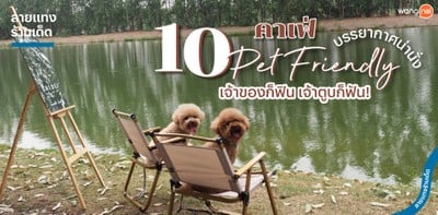 10 คาเฟ่ Pet Friendly บรรยากาศน่านั่ง เจ้าของก็ฟิน เจ้าตูบก็ฟัน!
