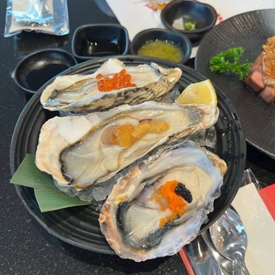 Japanese Oyster from Miyaki