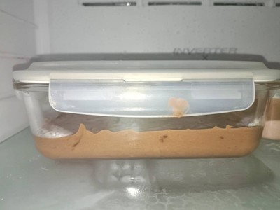 วิธีทำ Homemade Nutella Ice cream