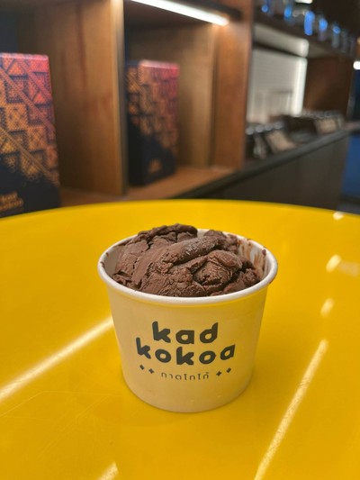 Chocolate Sorbet