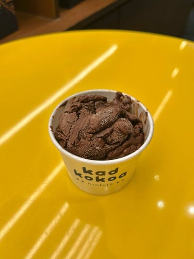 Chocolate Sorbet