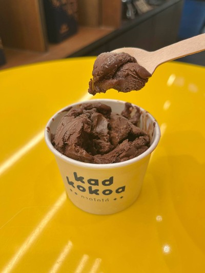 Chocolate Sorbet