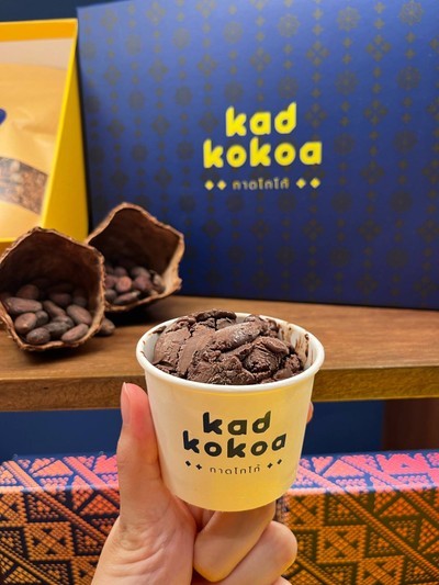 Chocolate Sorbet