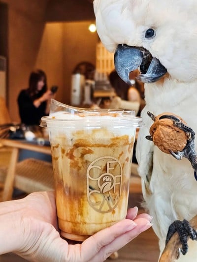 COFF & CAW บริษัท คอฟฟี่ แอนด์ มาคอว์ กรุ๊ป จำกัด