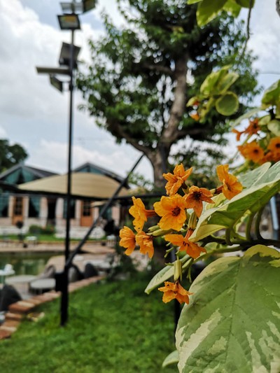 บรรยากาศ