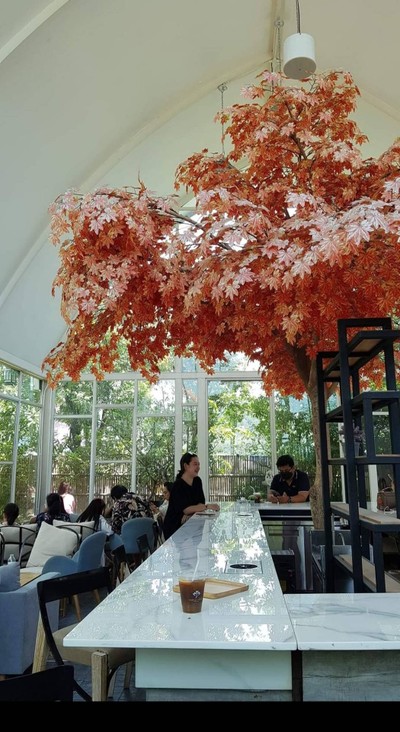 บรรยากาศ